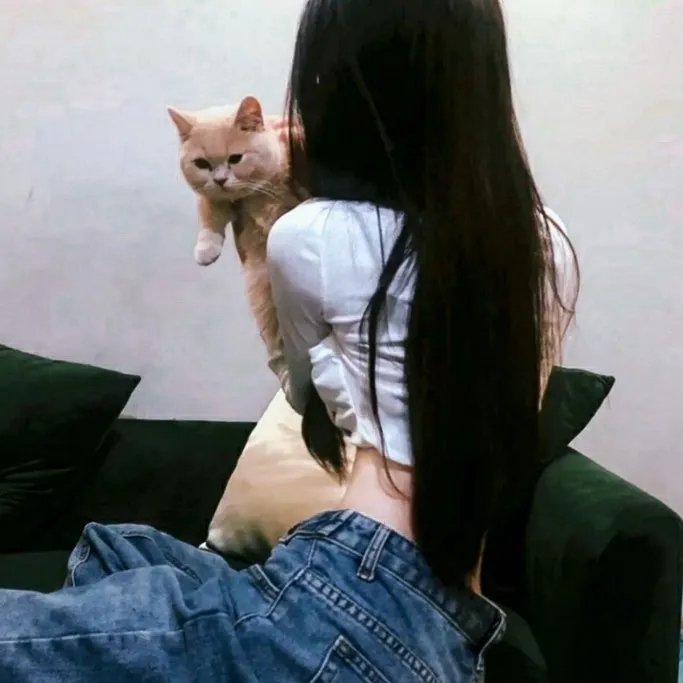 家园防线